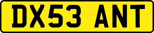 DX53ANT