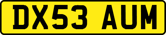 DX53AUM