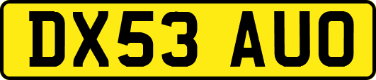 DX53AUO