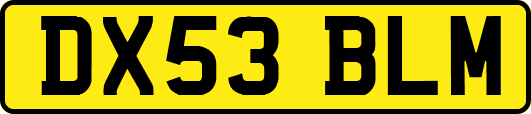 DX53BLM