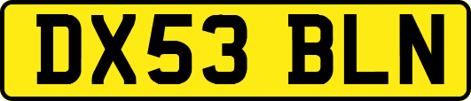 DX53BLN
