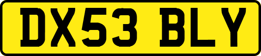 DX53BLY