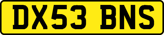 DX53BNS