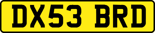 DX53BRD