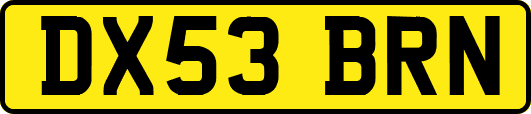 DX53BRN