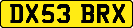 DX53BRX