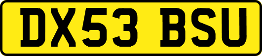 DX53BSU