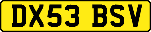 DX53BSV