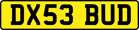 DX53BUD