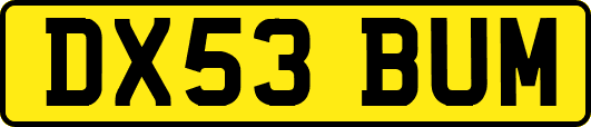 DX53BUM