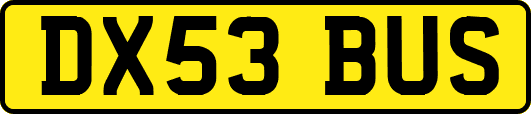 DX53BUS