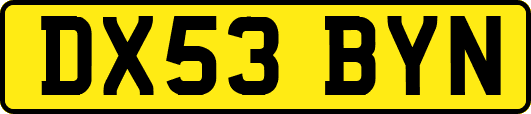 DX53BYN