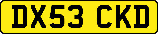 DX53CKD