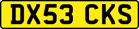 DX53CKS