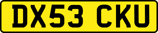 DX53CKU