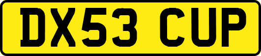 DX53CUP