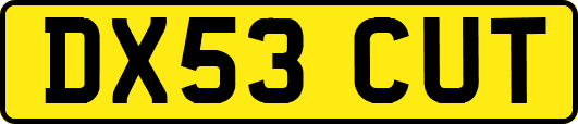 DX53CUT