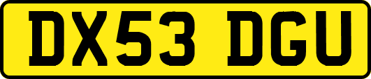 DX53DGU