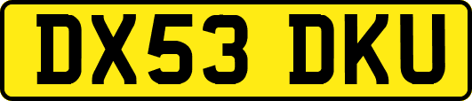 DX53DKU