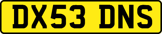 DX53DNS