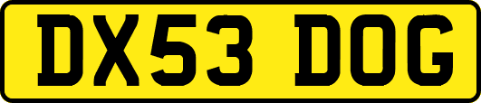 DX53DOG