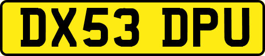 DX53DPU