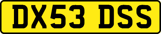 DX53DSS