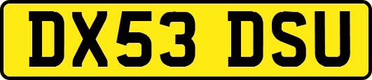 DX53DSU