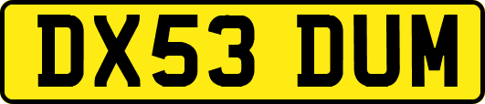 DX53DUM