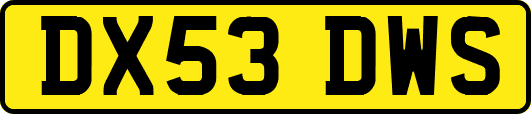 DX53DWS