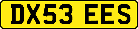 DX53EES