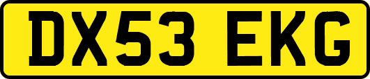DX53EKG
