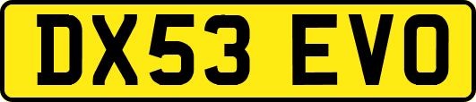 DX53EVO