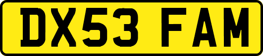 DX53FAM
