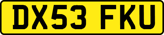 DX53FKU