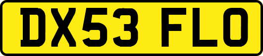 DX53FLO