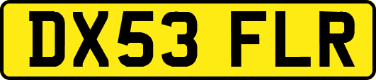 DX53FLR