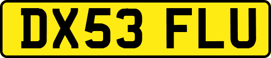 DX53FLU