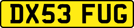 DX53FUG