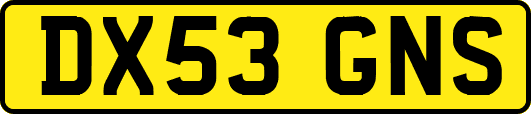 DX53GNS
