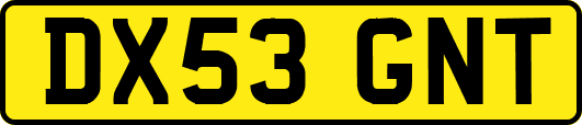 DX53GNT