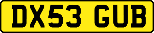DX53GUB
