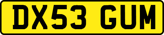 DX53GUM