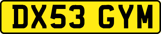 DX53GYM