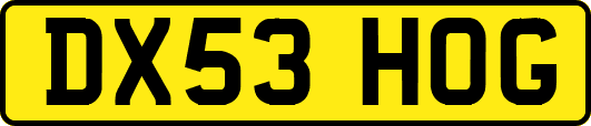 DX53HOG