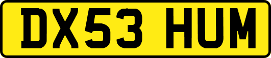 DX53HUM