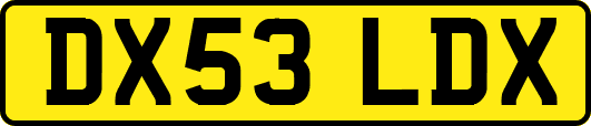 DX53LDX