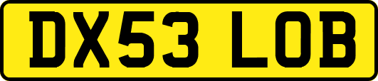 DX53LOB