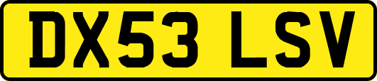 DX53LSV