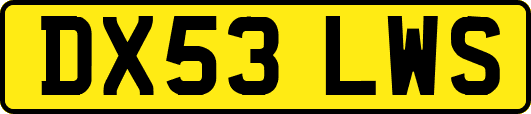 DX53LWS